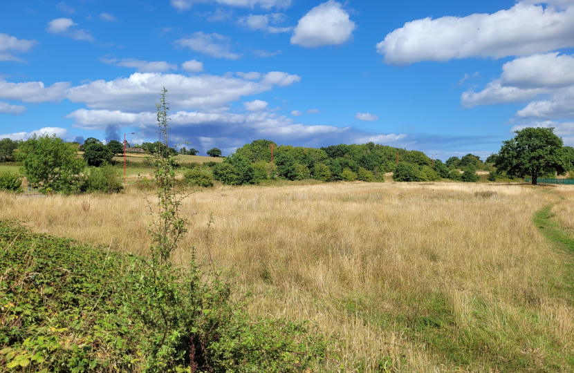 The land where the Labour Council want to build