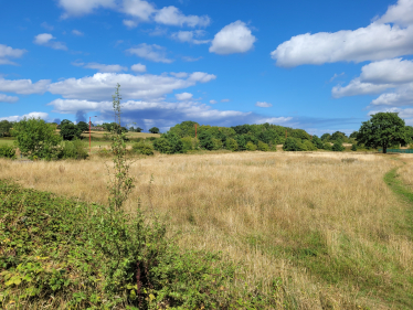 The land where the Labour Council want to build